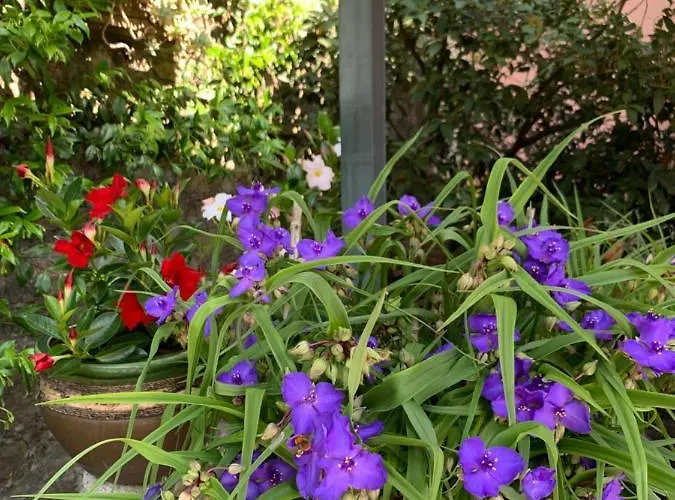 La Valletta Relais 3*